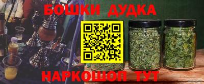 mdpv Краснознаменск